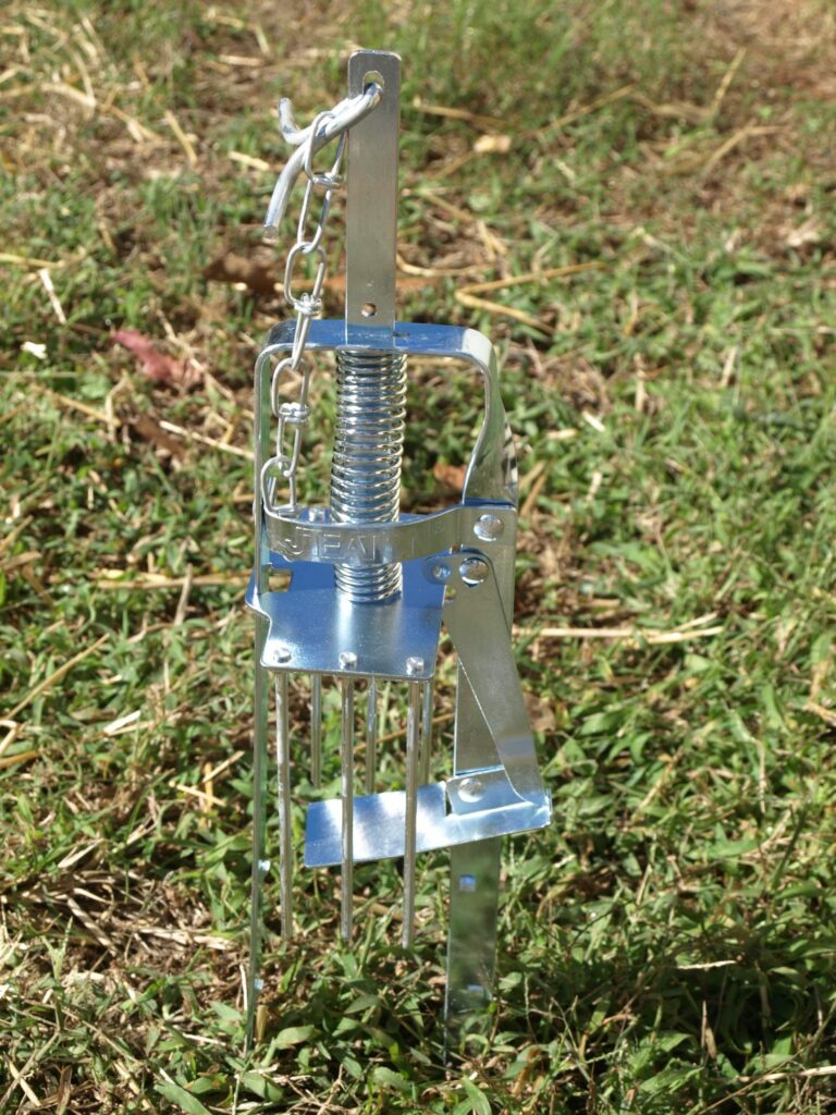 mole trap shown on a lawn