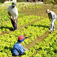 Los Frentes Parlamentarios y la Agricultura Familiar