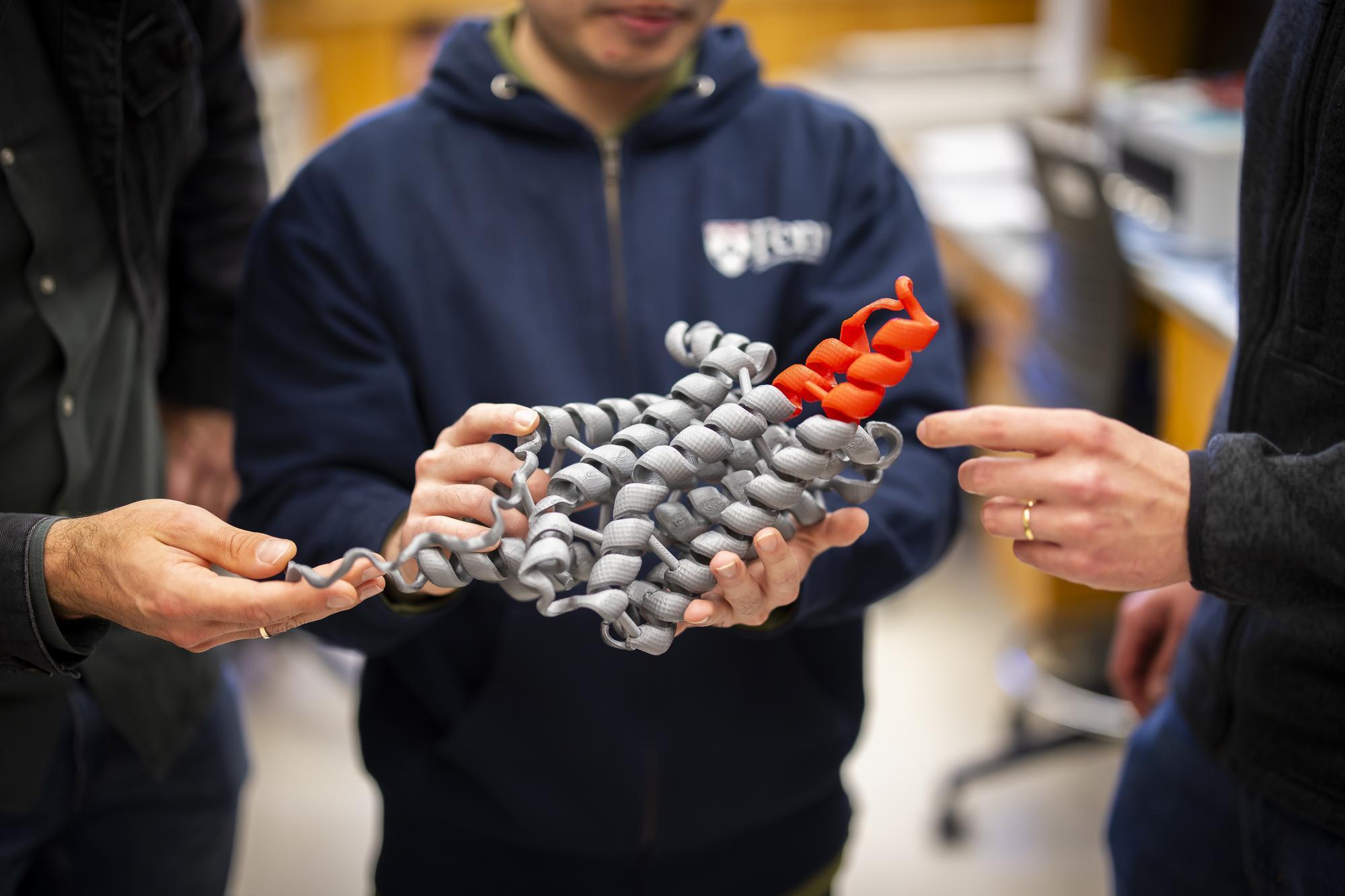 penn researchers holding a 3d model