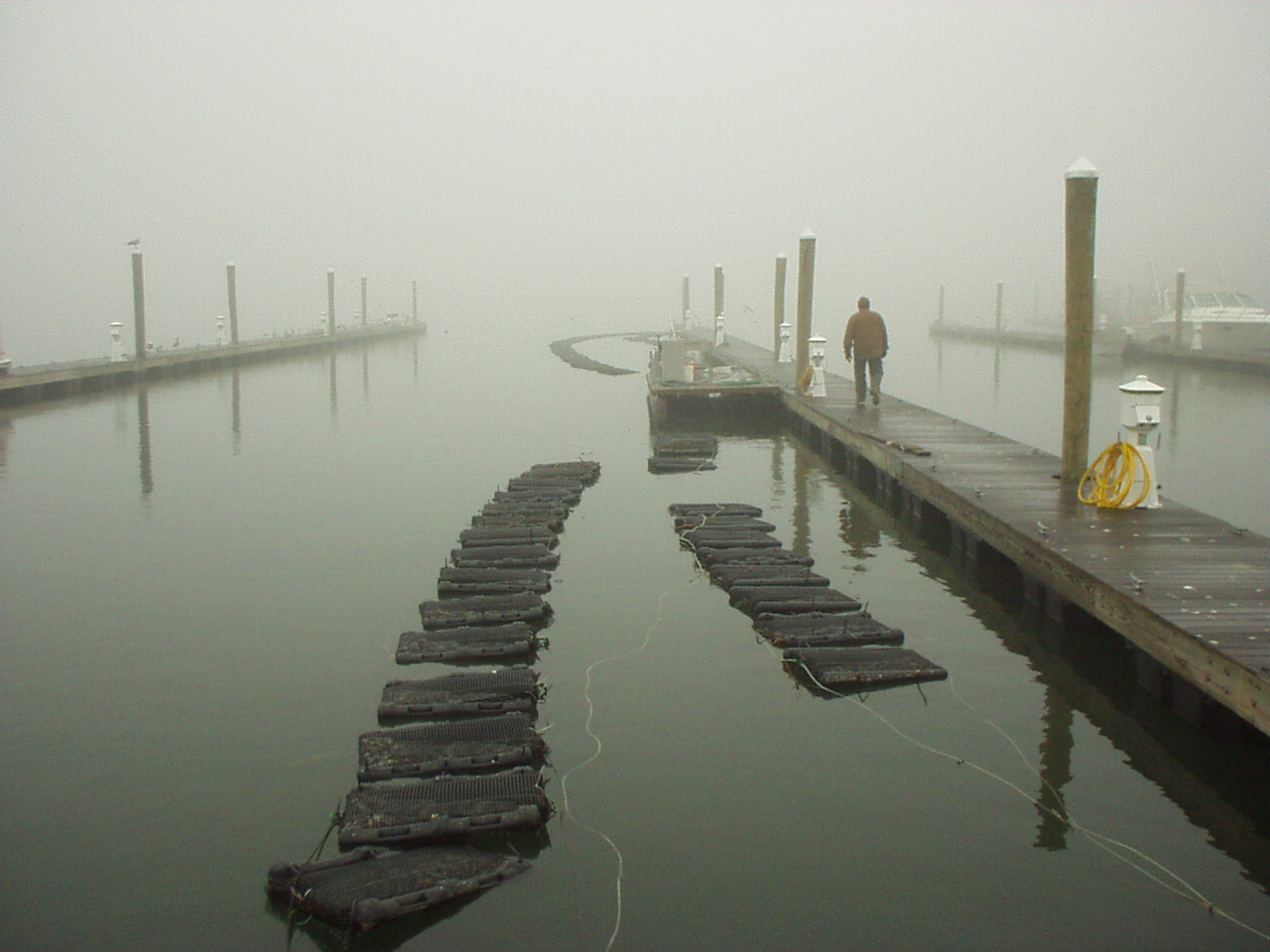 Oyster Aquaculture Bags