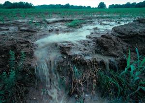 a crop field with water pouring off of it during rain 