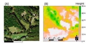 a scientific figure depicting a satellite map image and an associated height graph