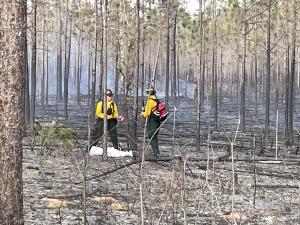 researchers wearing yellow nomex stand in a forest where a prescribed fire was recently conducted 