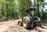 The agricultural tractor is equipped for forest work with a front pusher and a rear frame for attaching cable chokers. The frame above the engine section and the driver’s seat provide protection for the machine and the operator only from falling branches. The machine must reach the stump location, and it skids logs to the forest edge landing. Photo T. Zemánek, 2017.