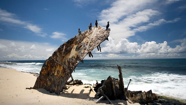 shipwreck on the beach