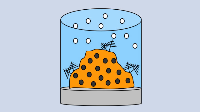 illustration of coral spawning