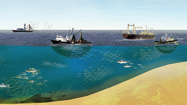 illustration of fishing boats