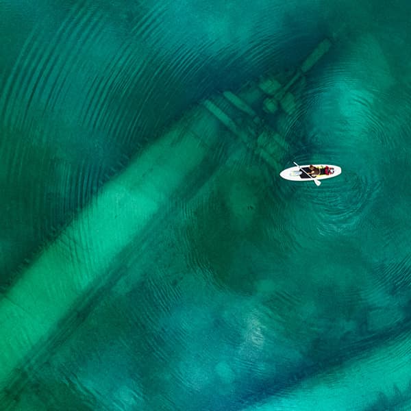 Fisher releasing a tarpon in the waterr