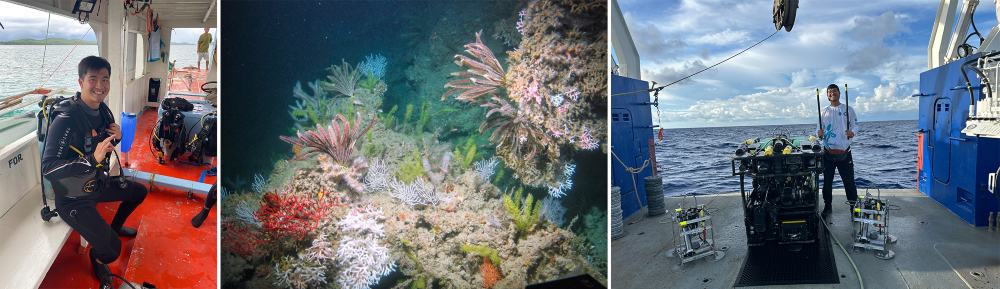 L to R: A male scientist in scuba gear on a boat; vibrant coral reef ecosystem; and a male scientist standing next to a Remotely Operated Vehicle (ROV).