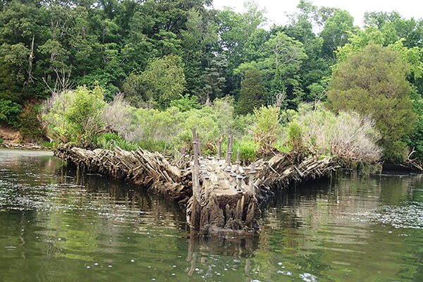 A Shipwreck with trees and other plants growing from it