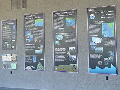 photo of exhibit posters