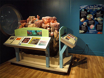 photo of exhibit