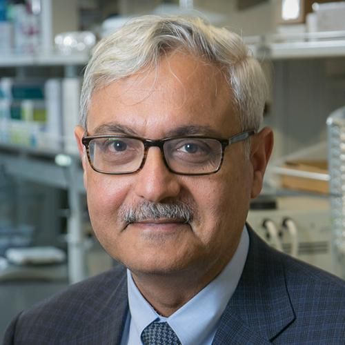 Ashutosh Chilkoti, Ph.D. Profile Photo