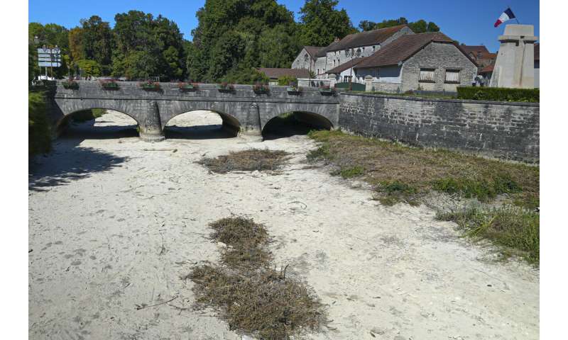 European drought dries up rivers, kills fish, shrivels crops