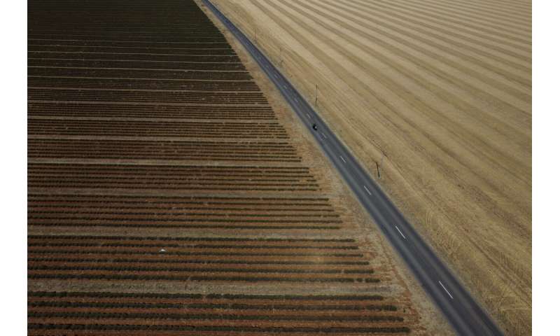 European drought dries up rivers, kills fish, shrivels crops