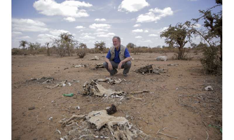 Weather whiplash: Summer lurches from drought to flood