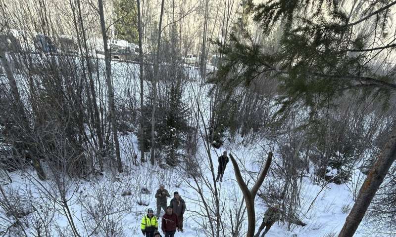 Elk on a shelf: Colorado wildlife officials rescue elk tangled in rope on ice climbing route