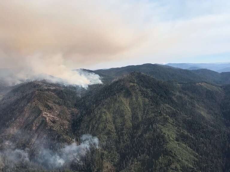 Past fires may hold key to reducing severity of future wildfires in western US