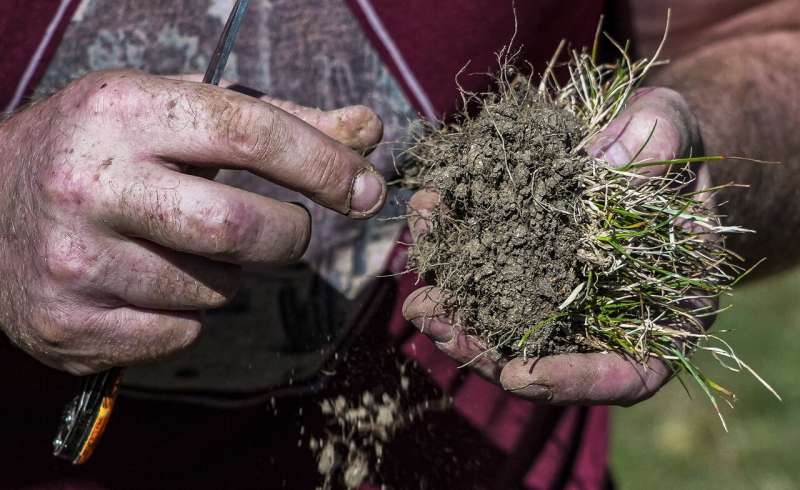 European drought dries up rivers, kills fish, shrivels crops