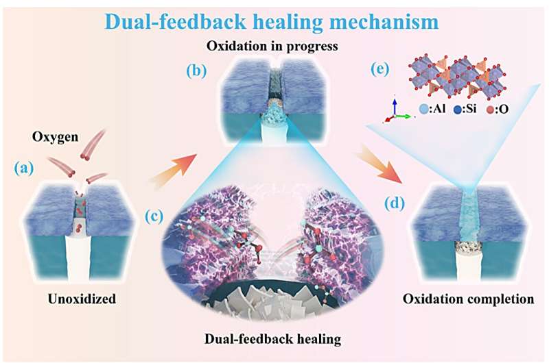 Dual-feedback healing mechanism redefining anti-oxidation coatings in fiber reinforced composites