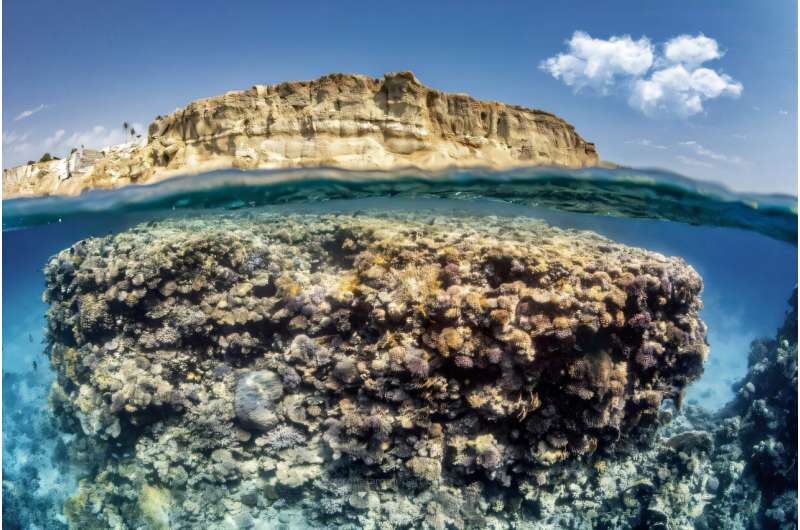 Rising temperatures threaten reefs—study pinpoints where conservation efforts are most needed