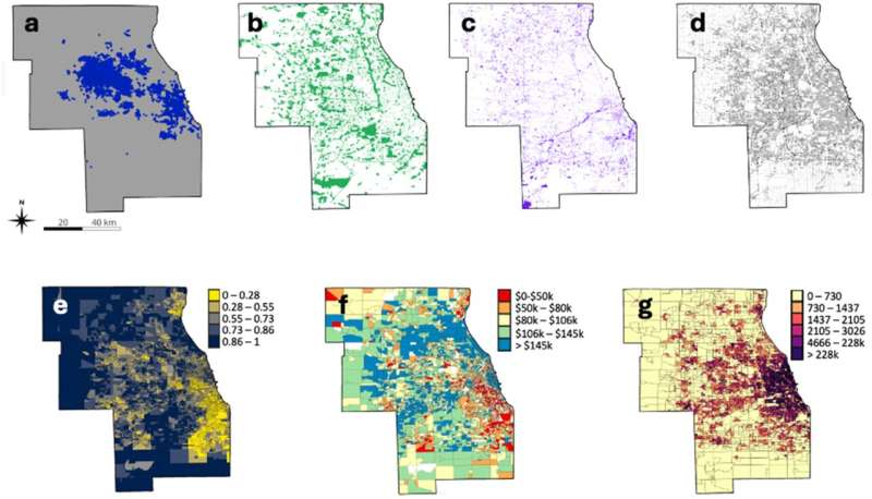 Dense human population is linked to longer urban coyote survival