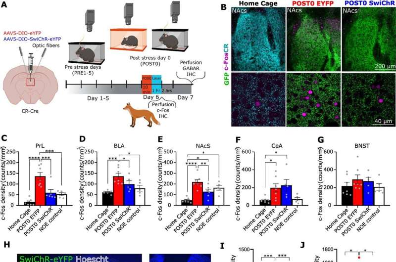 Novel neuronal mechanism for stress induced alteration in behavior