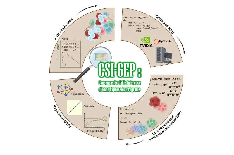 Scientists create scalable solution for analyzing single-cell data