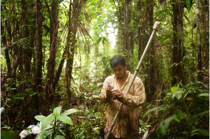 Scientists discover unique microbes in Amazonian peatlands that could influence climate change