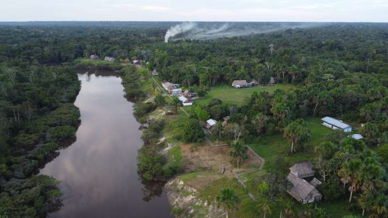 Scientists discover unique microbes in Amazonian peatlands that could influence climate change