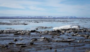 Arctic seascape with scattered icebergs, rocky shoreline, and distant snow-capped mountains under a partly cloudy sky, as the ice begins to melt in the warming sun.