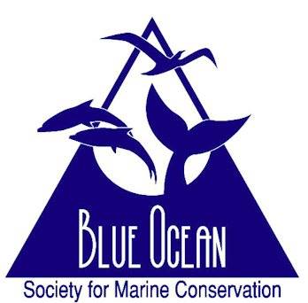 Blue Ocean logo