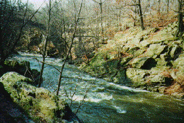 [IMG the Bronx River]