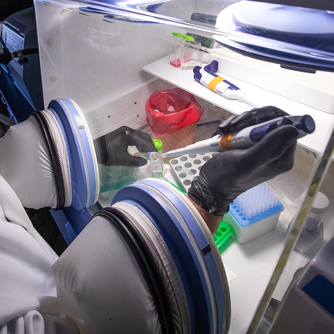 Closeup of a researcher working on lab fluids in an incubator.