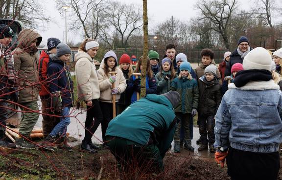 Schülerinnen und Schüler der Jenaplanschule bei der Pflanzung