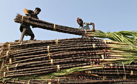  Workers unloaded sugar cane at a wholesale market in the southern Indian city of Chennai. Food prices declined modestly last year, with the dips concentrated among some of the higher-value commodities like sugar, oils and dairy products.