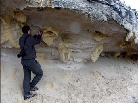 Alessio Rovere, a Columbia University researcher, examined an ancient shoreline deposit in Cape Agulhas, South Africa. Dunes moving inland ahead of a rising sea are believed to have buried trees at the site, with the decaying trunks producing the unusual features at center.