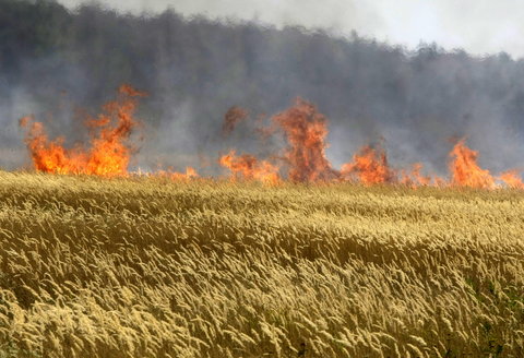 A field of cereals burning near the town of Voronezh, Russia, after weeks of searing<strong> </strong>heat and virtually no rain in the summer of 2010.