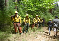 A crew prepared last week for <a href="//inciweb.nwcg.gov/incident/4775/">a prescribed fire along a trail</a> in the Redwood Mountain Grove in Kings Canyon National Park.