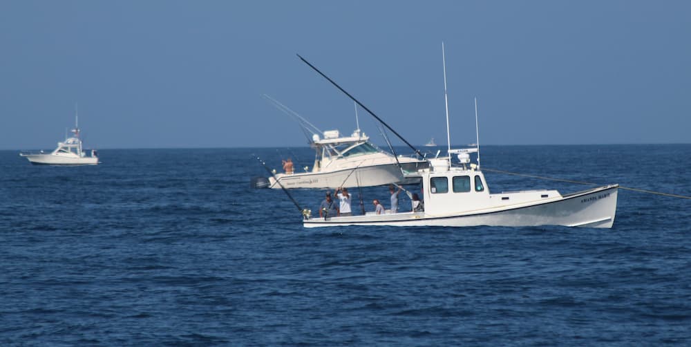 Boating in the distance in water