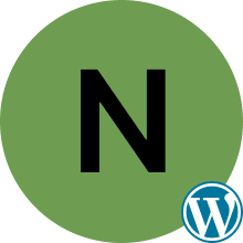 wordpress-review