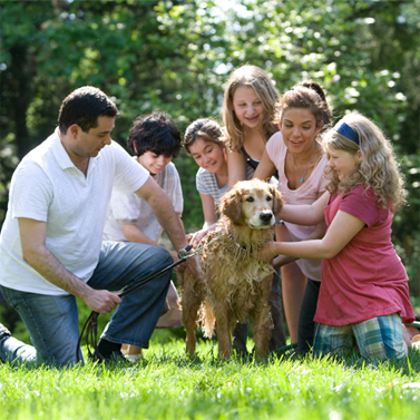 Happy Family