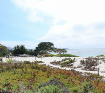 Asilomar State Beach/Pacific Ocean