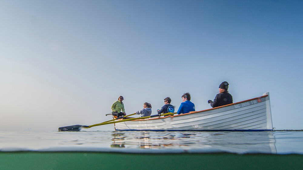 People rowing a boat