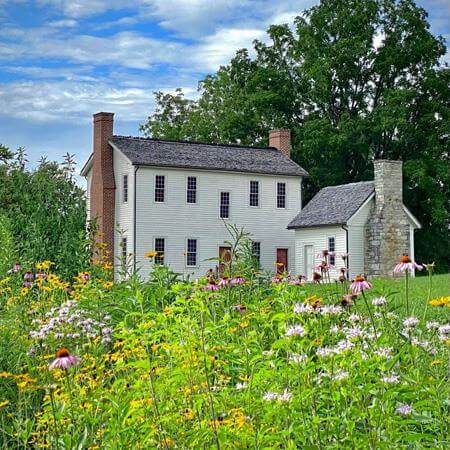 Tennessee Department of Transportation's Partners for Pollinators