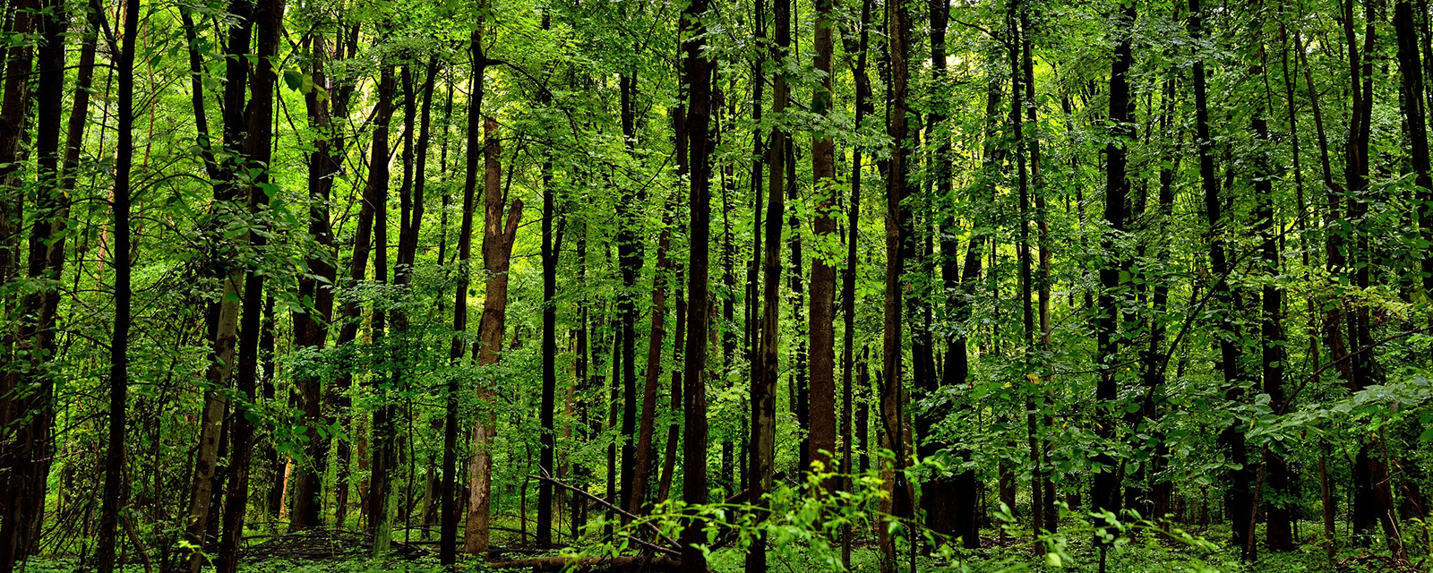 Cuyahoga Valley National Park, Ohio