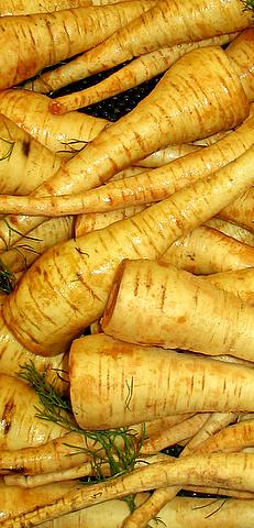 File:Parsnips-1.jpg