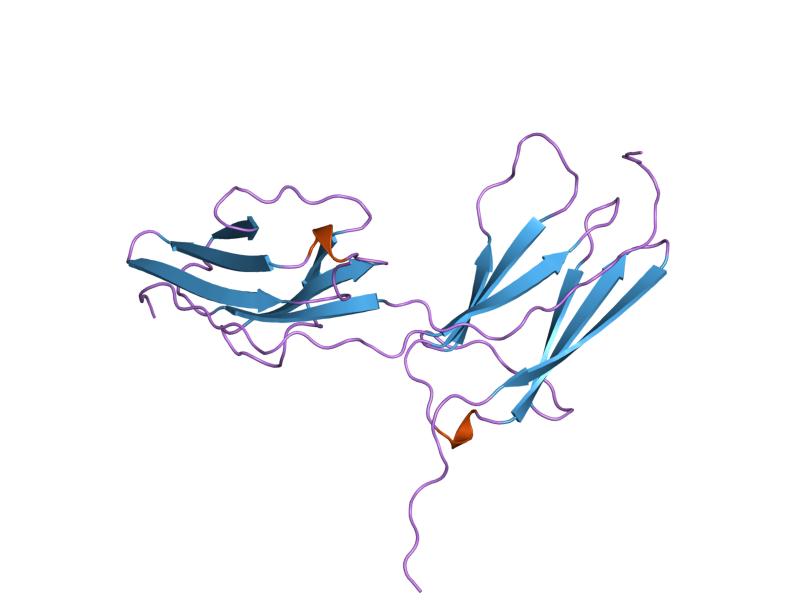 File:PDB 1wwa EBI.jpg