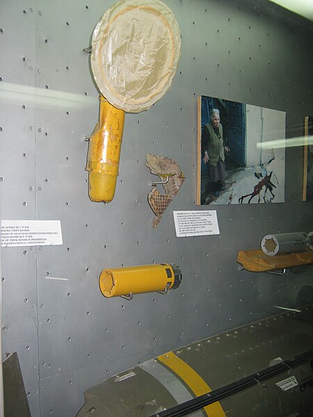 File:Cluster bomb on FRY.jpg