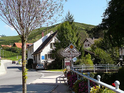 Vineyards in Durbach in 2007